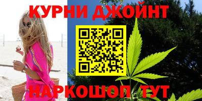 стаф Моздок