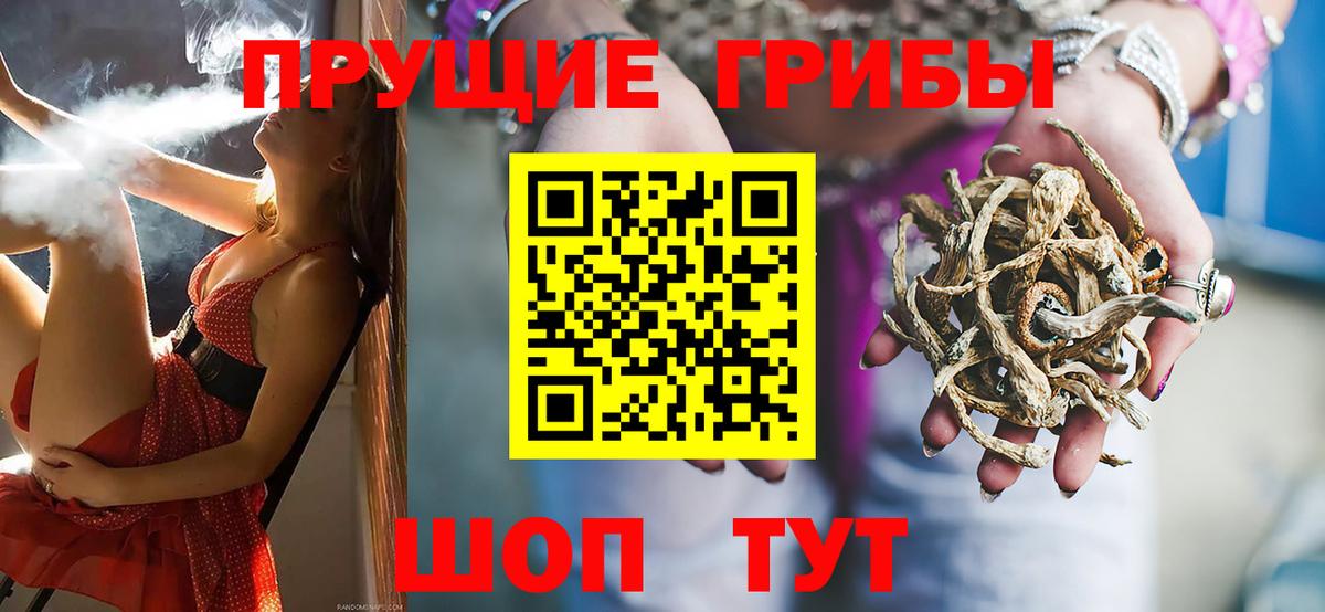 Тихвин  Псилоцибиновые грибы мицелий  Вход с VPN 