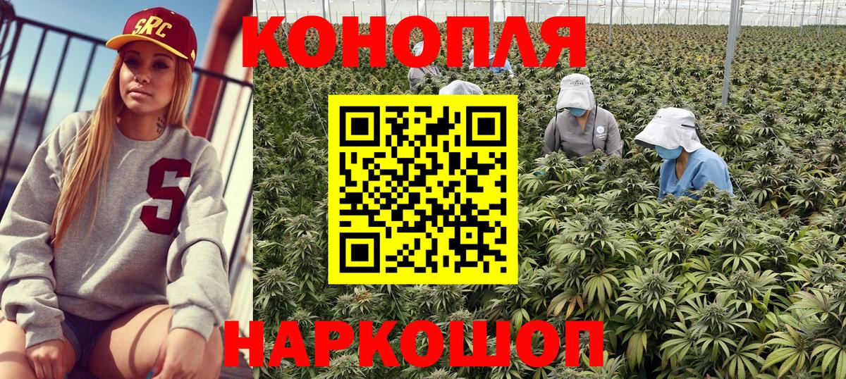Конопля тримм  МАРИХУАНА VHQ  Тихвин  Вход с VPN  Канабис OG Kush 